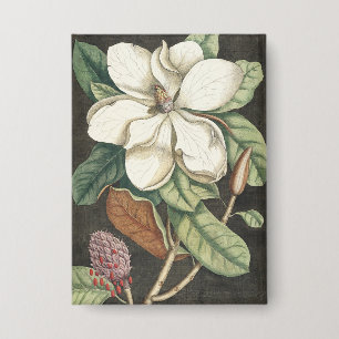 Badge Illustration botanique vintage de magnolia de Cate