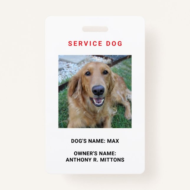 Badge Insigne d'identification de chien de service (Devant)