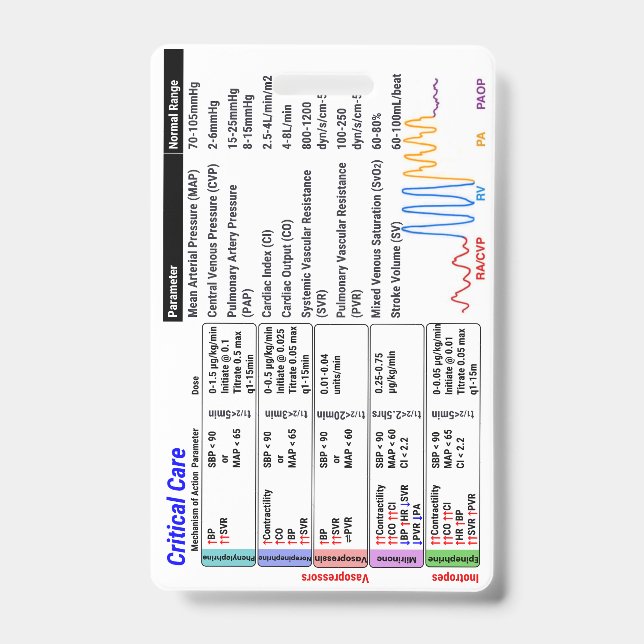 Badge Insigne ICU Critical Care Buddy (Front)