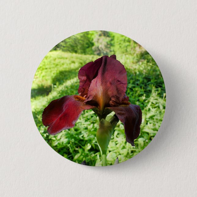 Badge Iris Learé (Devant)