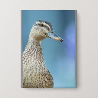 Badge les canards
