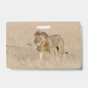 Badge Lion marche