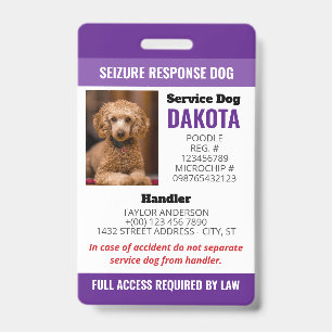 Badge Logo du chien de réponse à la capture violette QR 