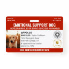 Logo et ID photo Red Service Dog 2