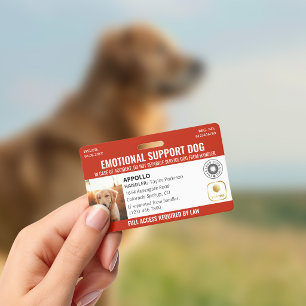 Badge Logo et ID photo Red Service Dog 2