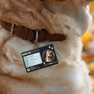 Badge Médaille d'identification pour chien moderne vert
