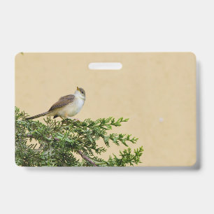 Badge Moineau