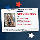 Badge photo d'identification pour chien de service