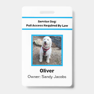 Badge Photo ID officiel personnalisé pour chien d'assist