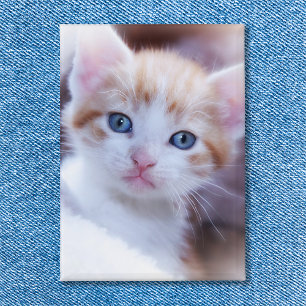 Badge Photo Portrait vertical du chat familial