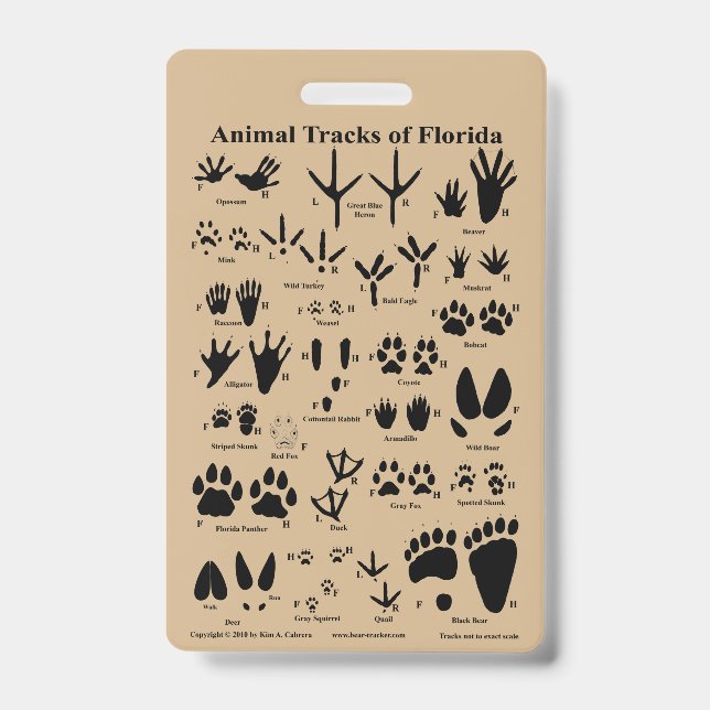Badge Pistes animales de Floride (Face)