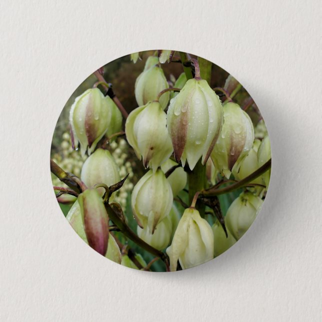Badge Plante du Yucca (Devant)