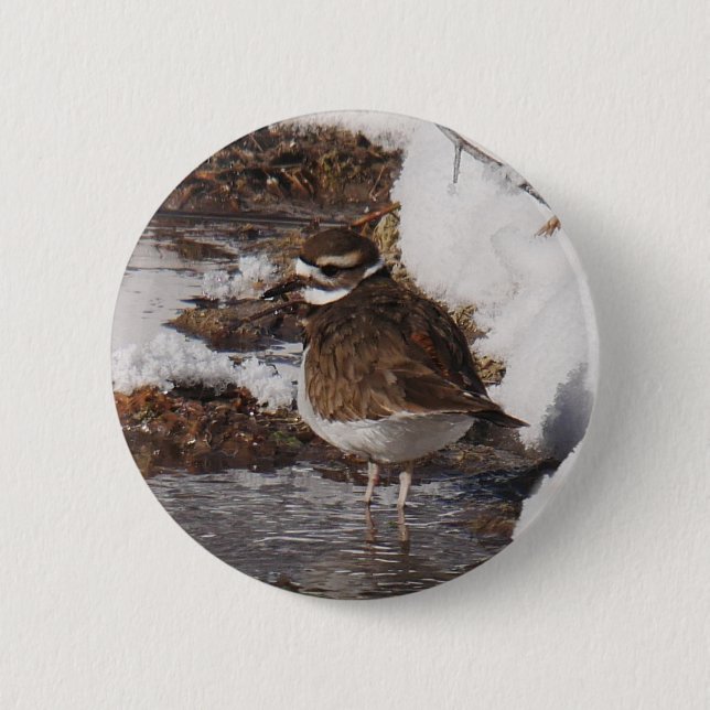 Badge Pluvier kildir (Devant)
