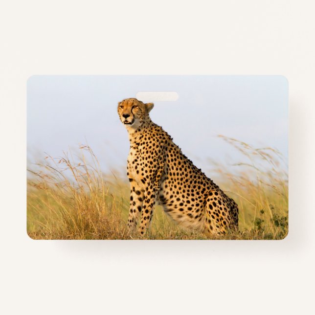 Badge Portrait de Cheetah (Devant)