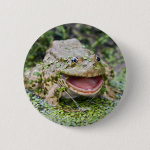 Badge Prince Grenouille