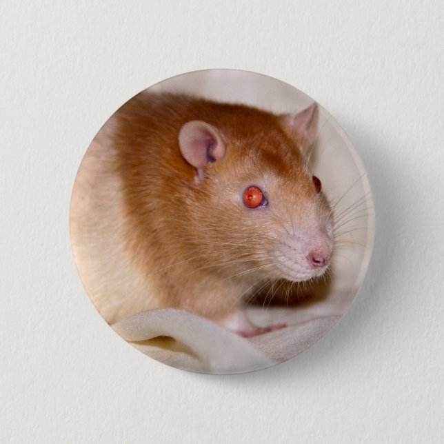 Badge Rolando (Devant)