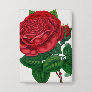 Badge Rose Print Rochester Lithographing and Printing Co