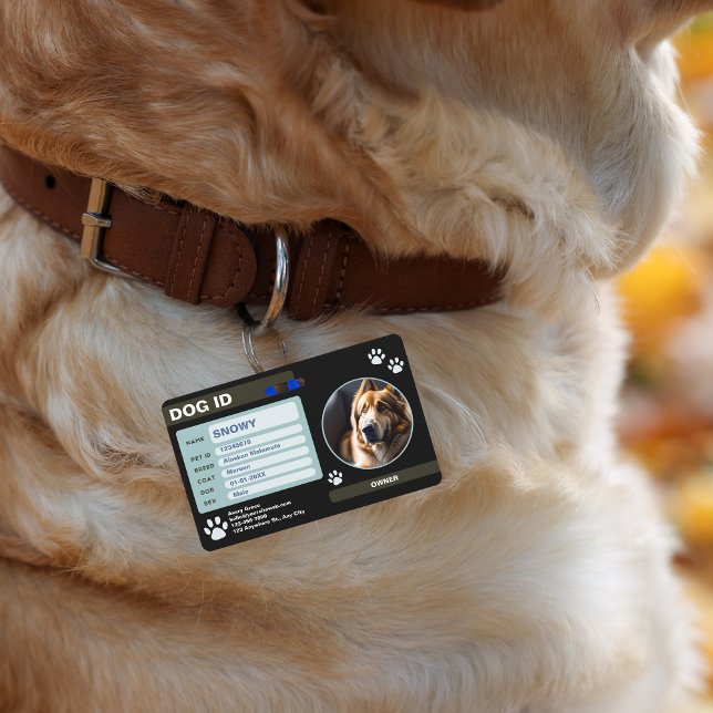 Badge Tag : Simple et élégant (Black Green Modern Dog ID Tag: Simple and Stylish Badge)