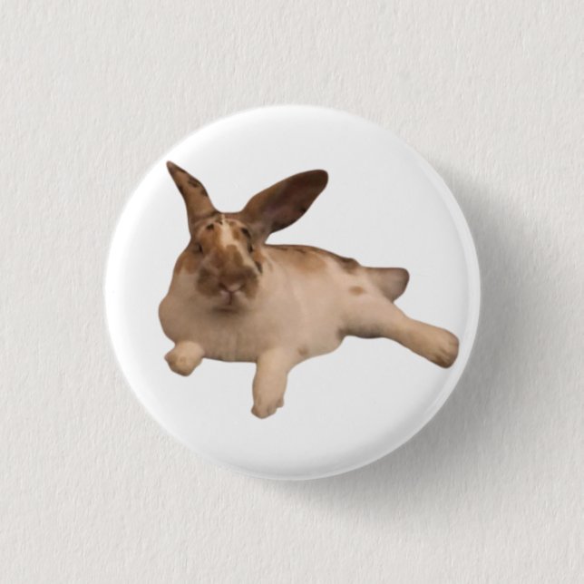 Badge Zesty Paddy (Devant)