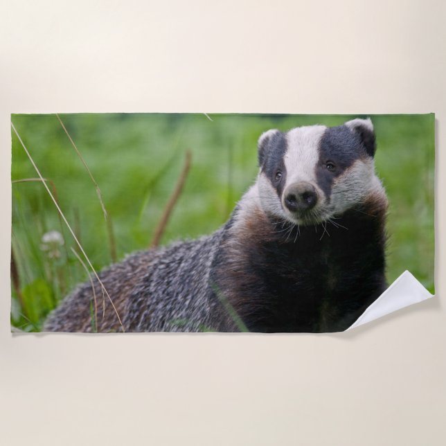 Badger Beach Towel (Front)
