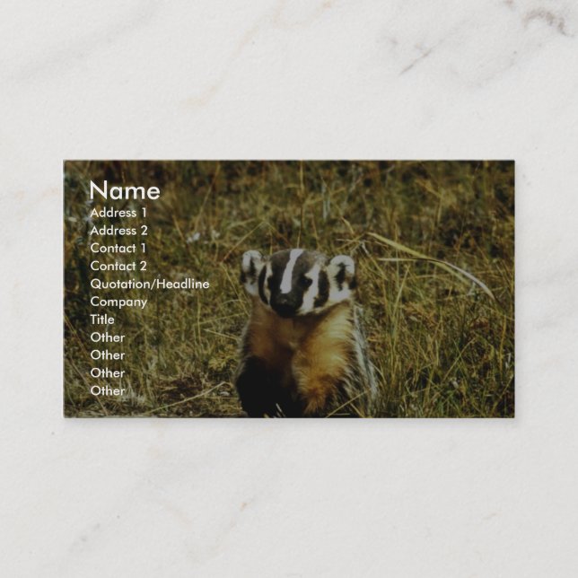 Badger Business Card (Front)
