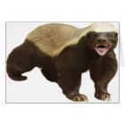 Badger de miel - PERSONNALISABLE