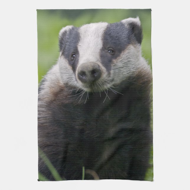 Badger Kitchen Towel (Vertical)