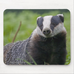 Badger Mousemat Mouse Pad