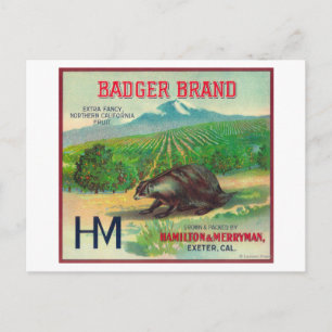 Badger Orange LabelExeter, CA Postcard