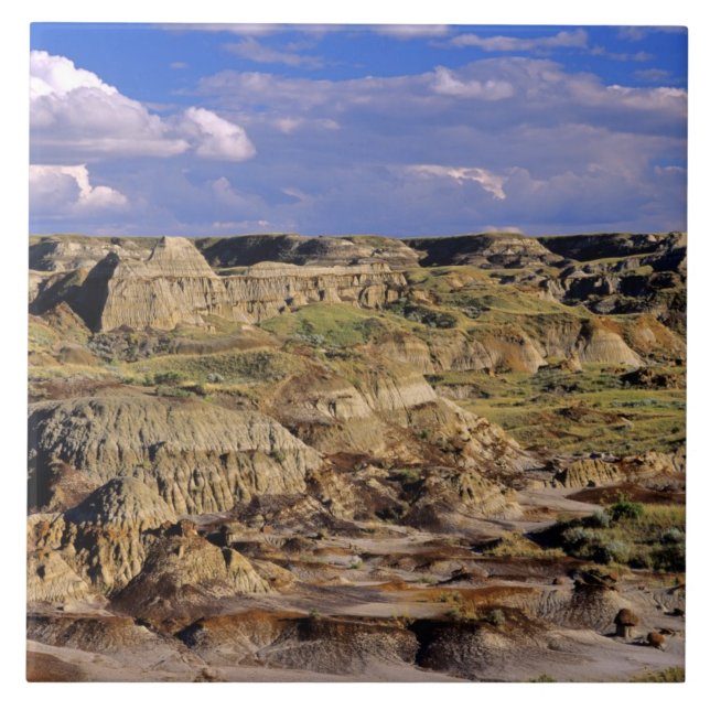 Badlands at Dinosaur Provincial Park in Alberta, 2 Tile (Front)
