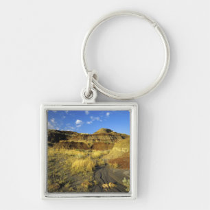 Badlands at Dinosaur Provincial Park in Alberta, Keychain