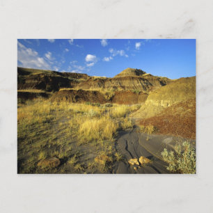 Badlands at Dinosaur Provincial Park in Alberta, Postcard