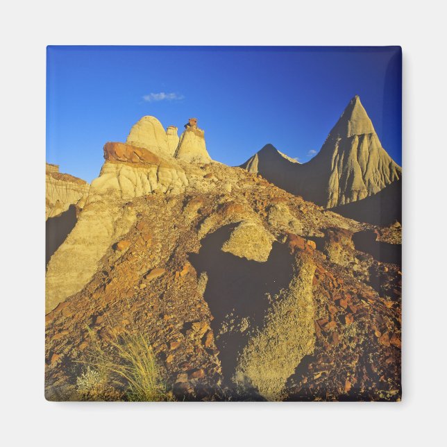 Badlands formations at Dinosaur Provincial Park 6 Magnet (Front)