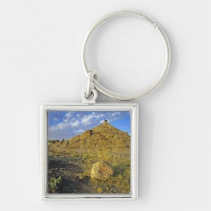 Badlands formations at Dinosaur Provincial Park Keychain