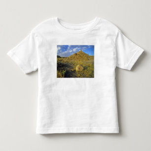 Badlands formations at Dinosaur Provincial Park Toddler T-shirt