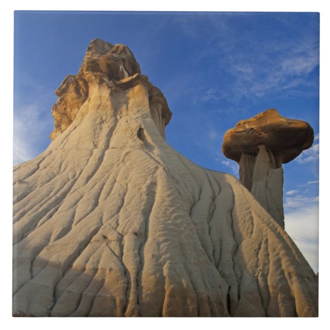 Badlands formations at Makoshika State Park in Tile (Front)