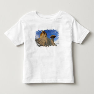 Badlands formations at Makoshika State Park in Toddler T-shirt