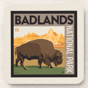 Badlands National Park   Buffalo Coaster