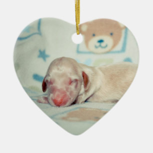 Bae Newborn-Lovebugdoxies puppy keepsake Ceramic Ornament