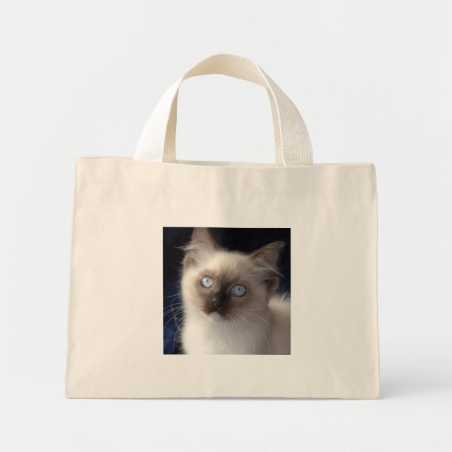 Bag (Front)