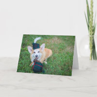 Bagpipe Corgi blank greeting card