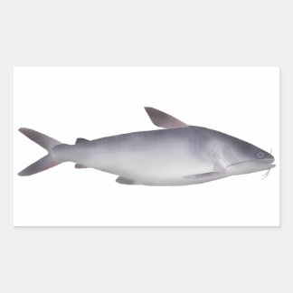 Bagre de mar sticker