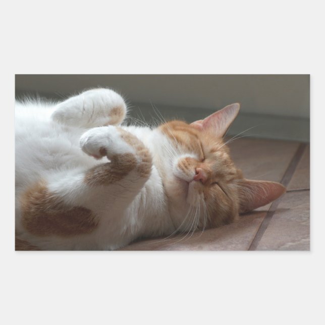 Baguette Chat couchage Stickers Rectangle (Devant)
