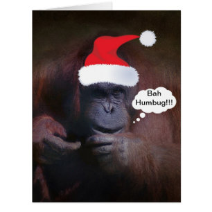 BAH HUMBUG ! ! ! CARTE DE NOËL
