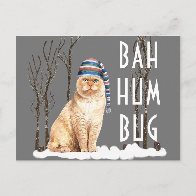 Bah Humbug Funny Cat Christmas Postcard (Front)
