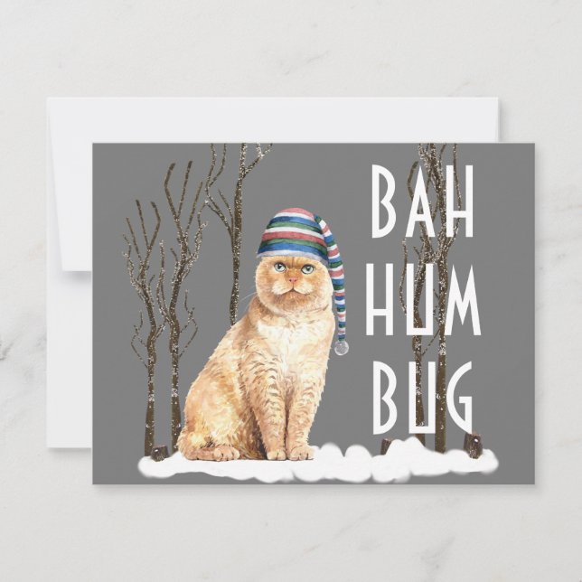Bah Humbug Funny Chat Carte postale de Noël (Devant)