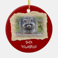 Bah Humbug Raccoon