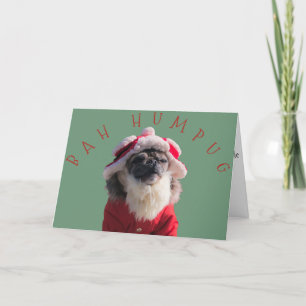 "Bah Humpug" Funny Pug Santa Claus Holiday Card