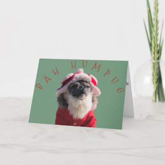 "Bah Humpug" Funny Pug Santa Claus Holiday Card