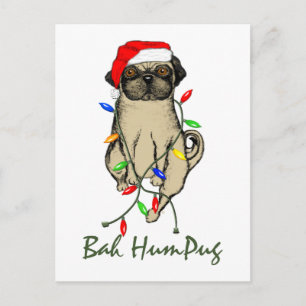 Bah HumPug Postcard
